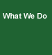 Web Design, Web Base Application, E-Commerce, Hosting, Logo Design
